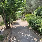 Les Pins De La