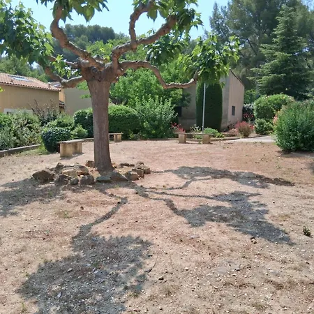 Les Pins De La