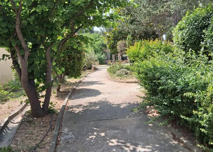 Les Pins De La