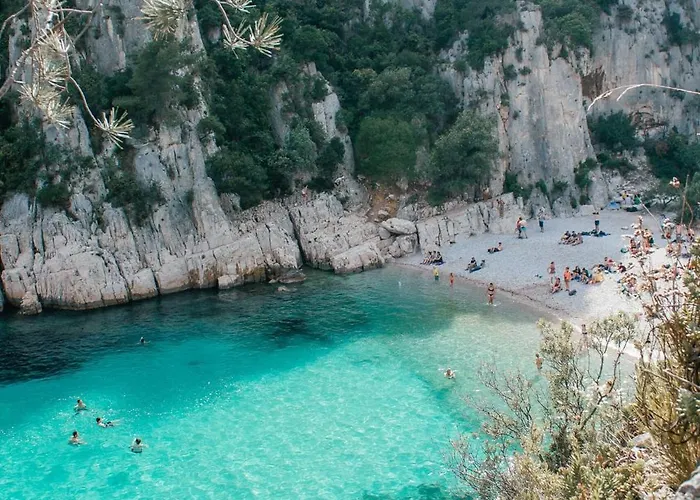 Les Pins De La شقة *